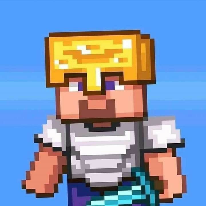 ✨ Pourquoi choisir MineFinity ? ✨